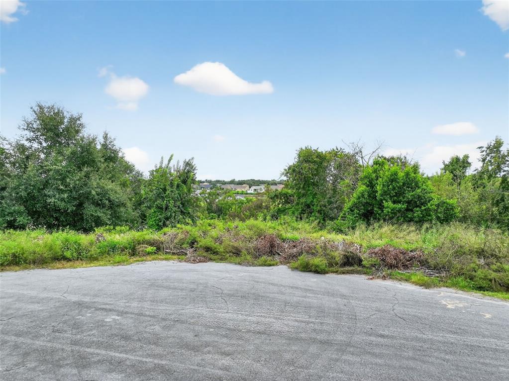 An asphalt cul-de-sac borders a vacant, overgrown lot with trees and distant houses — TBD KANUBA COURT, CLERMONT, FL