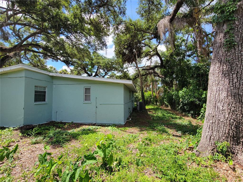 The exterior of a light green house is surrounded by large trees and overgrown vegetation — 1375 MYRTLE STREET, SARASOTA, FL