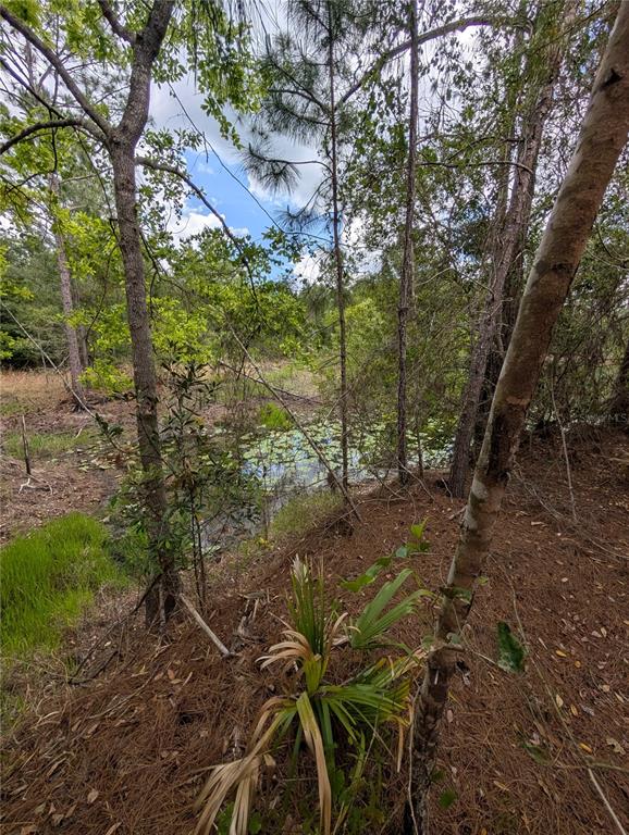 38521 ILEX TRAIL, EUSTIS, FL — photo 4 of 29
