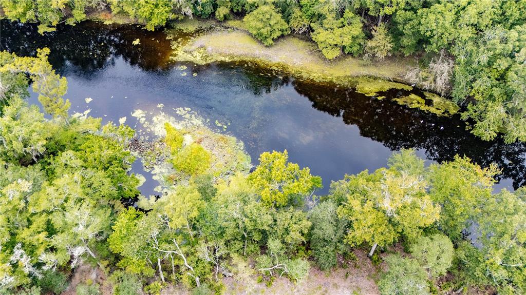 An aerial view shows a dark, calm river winding through a dense, green forest — 26840 NW 206TH PLACE, HIGH SPRINGS, FL