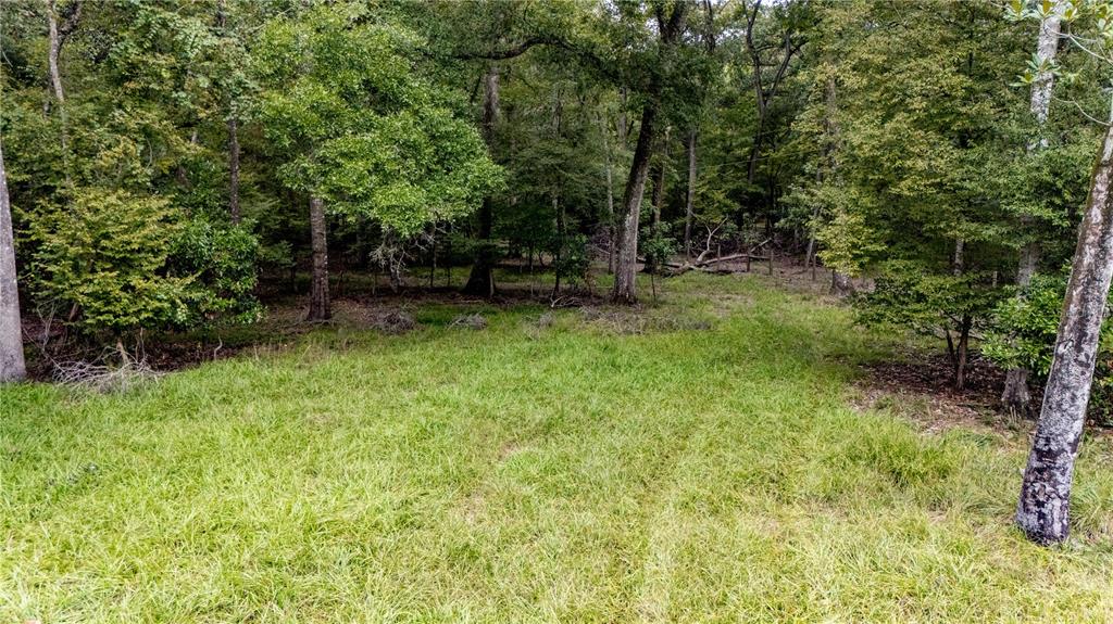 A grassy clearing leads to a dense forest of mature trees on a sunny day — 26840 NW 206TH PLACE, HIGH SPRINGS, FL