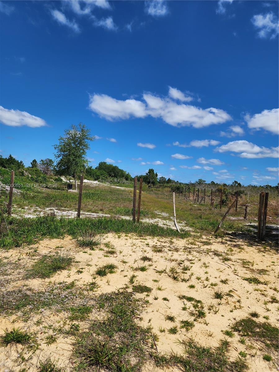 A sandy, grassy vacant lot features a wire fence and scattered trees under a blue sky — 16785 NW 292nd ST, Okeechobee FL 34972, OKEECHOBEE, FL