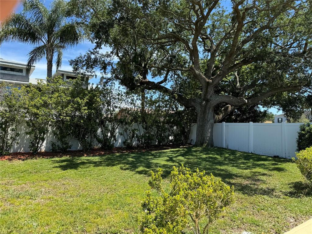 A grassy backyard features a large oak tree, a white vinyl fence, and a palm tree — 2421 ARCHER BOULEVARD, ORLANDO, FL