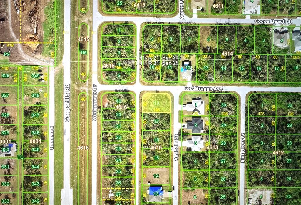 This is a satellite map showing residential lots, streets, and undeveloped land — 10021 AMICOLA STREET, PORT CHARLOTTE, FL