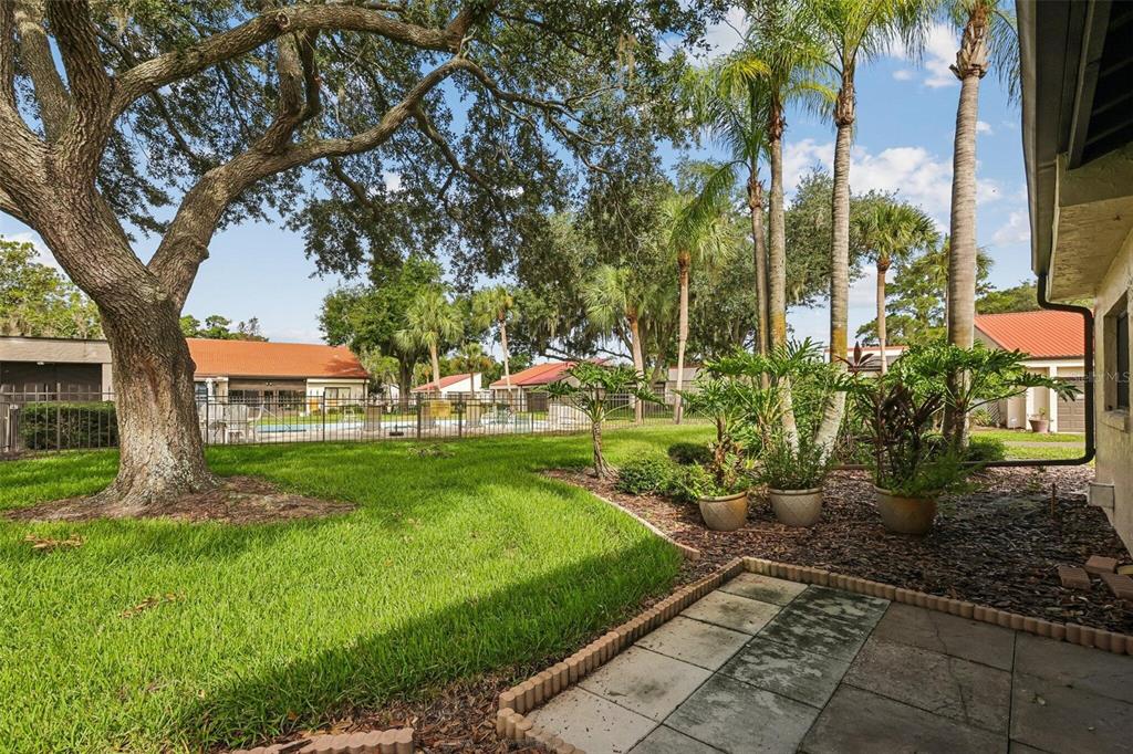 A backyard view features a grassy lawn, a large oak tree, and a paved patio — 107 SEVILLE COURT N, PLANT CITY, FL