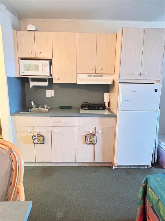 A small kitchen features light wood cabinets, a white refrigerator, and a stainless steel sink — 43420 HIGHWAY 27 UNIT 455, DAVENPORT, FL