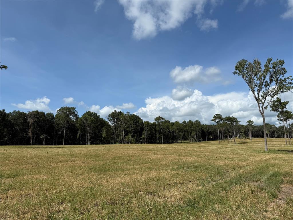 DR #3 (10ac) NW 193RD ST, MICANOPY, FL — photo 3 of 10