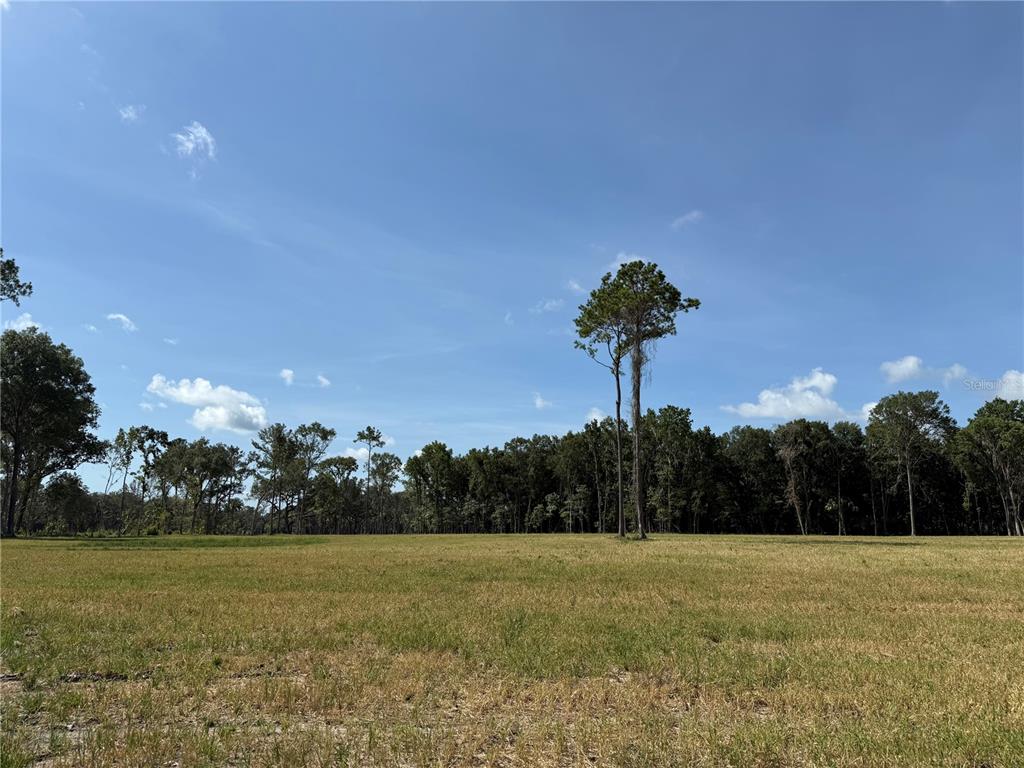 DR #3 (10ac) NW 193RD ST, MICANOPY, FL — photo 4 of 10