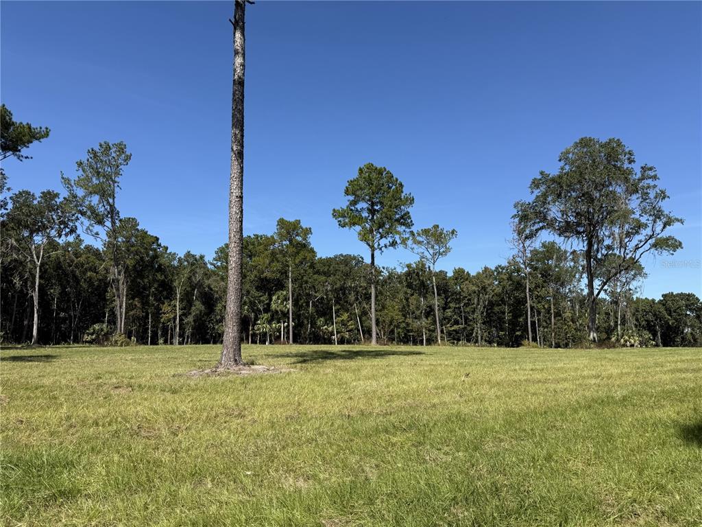 DR #3 (10ac) NW 193RD ST, MICANOPY, FL — photo 5 of 10