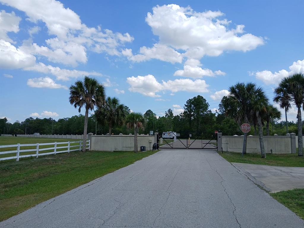 A paved driveway leads to a gated entrance with palm trees and a white fence — 1102 HIDDEN PALMS DRIVE, DAVENPORT, FL