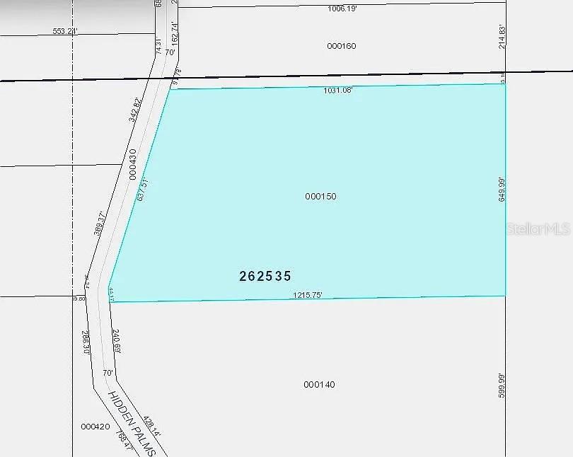 This is a property map showing the boundaries and dimensions of a land parcel — 1102 HIDDEN PALMS DRIVE, DAVENPORT, FL