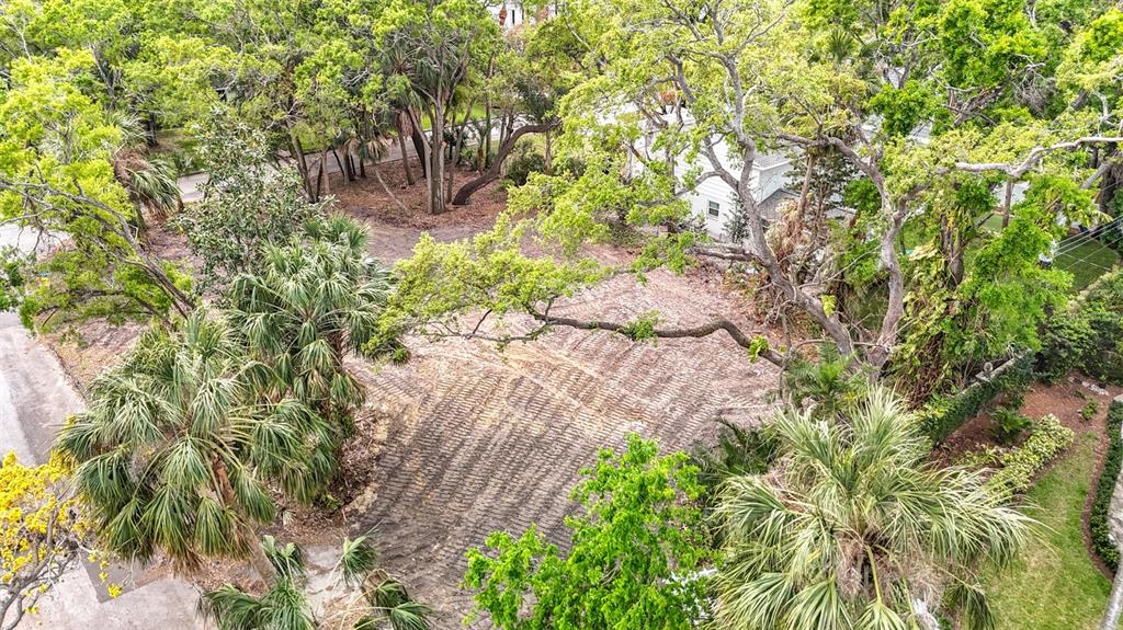 An aerial view of a cleared, dirt residential lot surrounded by mature trees and palms — 4701 W CLEAR AVENUE, TAMPA, FL