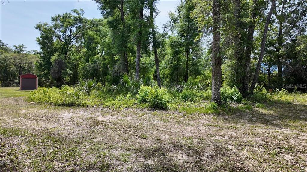 A grassy, partially wooded lot features a small red shed on the left side — KATHERINE WAY, FANNING SPRINGS, FL