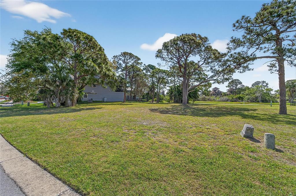 A grassy vacant lot features several mature pine trees under a clear blue sky — N POINTE ALEXIS DRIVE, TARPON SPRINGS, FL
