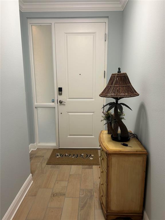 An entryway features a white door, a side window, tile flooring, and a palm-themed lamp — 3426 79TH STREET CIRCLE W UNIT 203, BRADENTON, FL