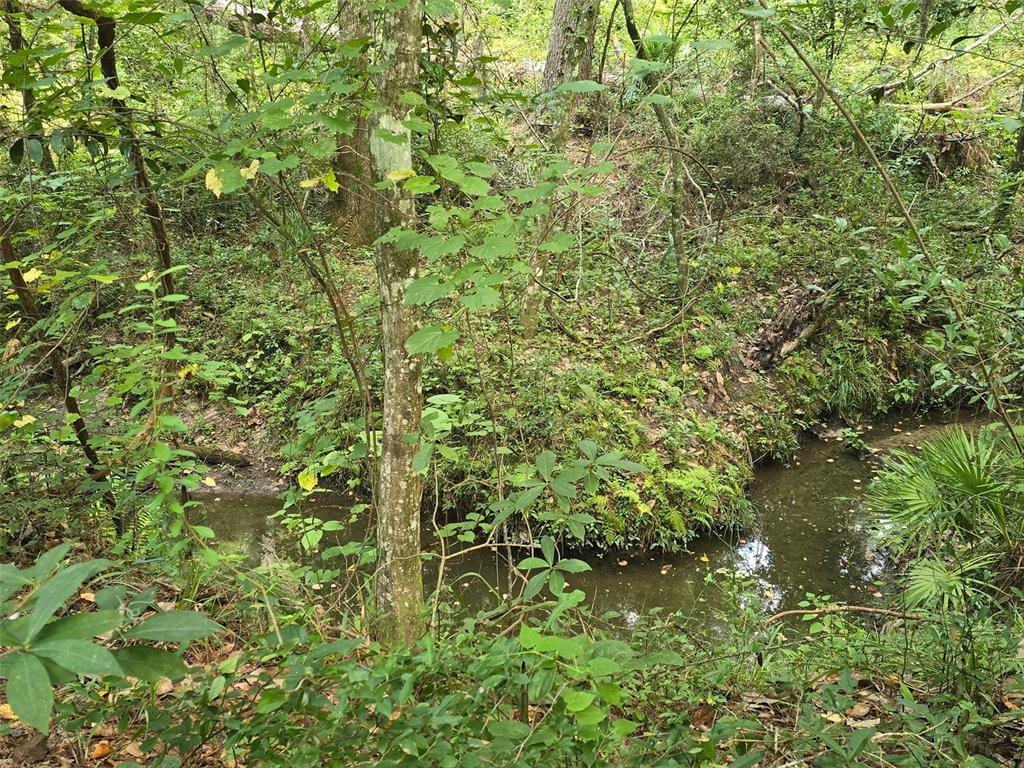 A small, narrow creek flows through a wooded area with dense green foliage and trees — TBD NW SPRING HOLLOW BOULEVARD, LAKE CITY, FL