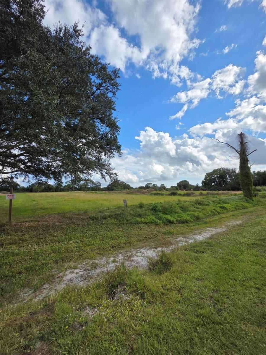 A large, grassy field features a prominent oak tree and a dead tree under clouds — 1132 NE 48th Avenue, Okeechobee FL 34972, OKEECHOBEE, FL