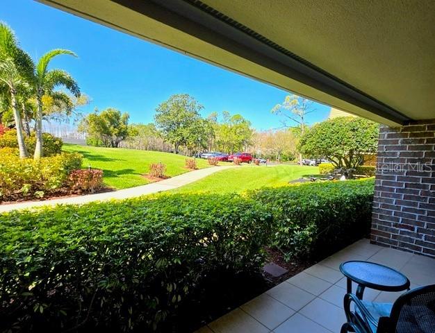 A view from a covered patio overlooking a grassy lawn, trees, and a parking area — 36750 US HIGHWAY 19 N UNIT 4-107, PALM HARBOR, FL