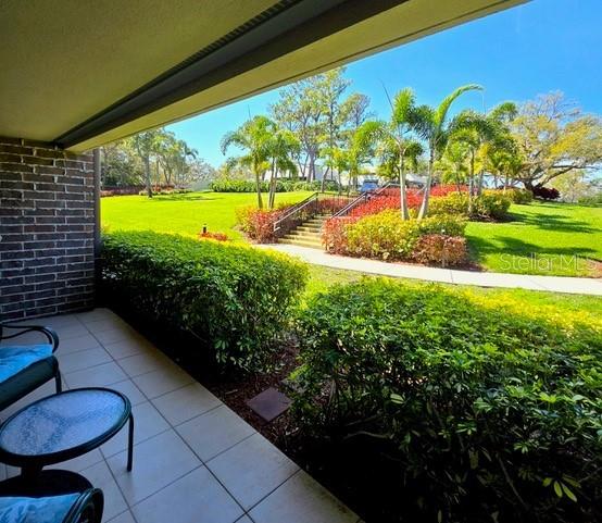 A tiled patio overlooks a landscaped lawn with palm trees and a small staircase — 36750 US HIGHWAY 19 N UNIT 4-107, PALM HARBOR, FL