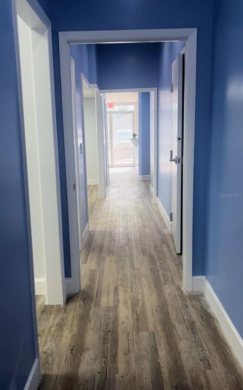 A hallway with blue walls and wood-look flooring leads toward a glass exterior door — 105 BELLAGIO CIRCLE, SANFORD, FL