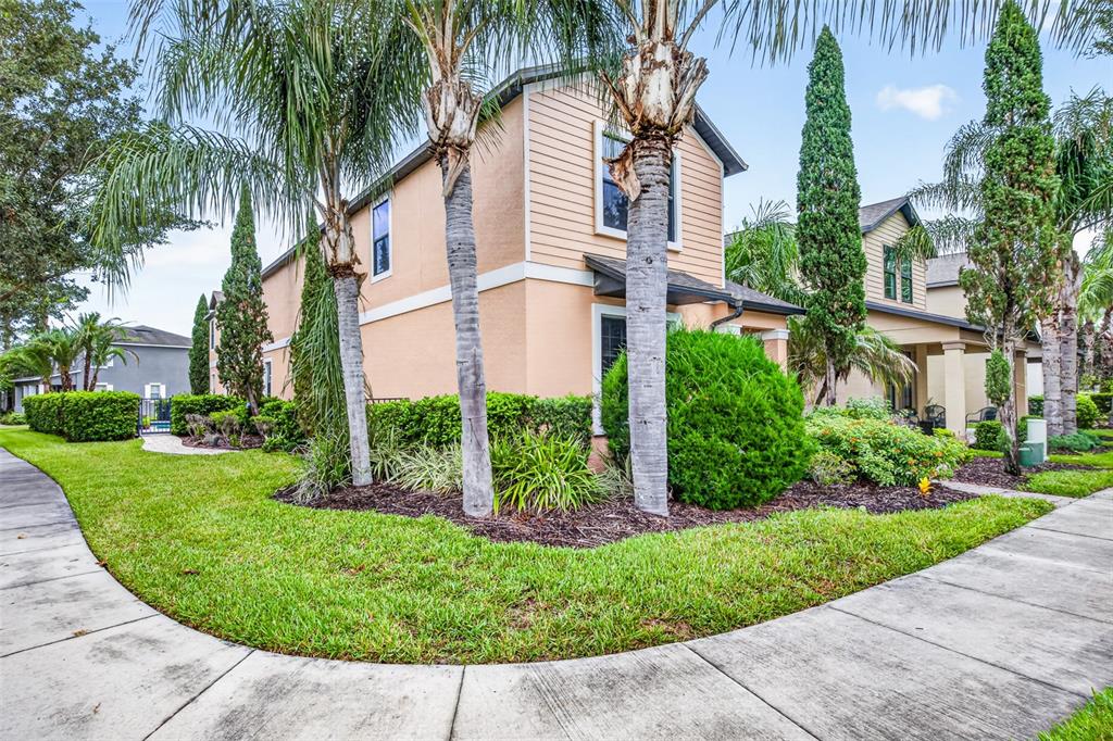 A two-story tan house with palm trees and landscaping sits along a concrete sidewalk — 7236 PENKRIDGE LANE, WINDERMERE, FL