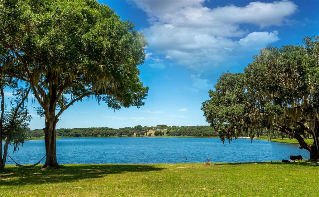 A grassy lawn leads to a lake framed by two large, moss-draped oak trees — 34710 CLAYTON ROAD UNIT 9, DADE CITY, FL