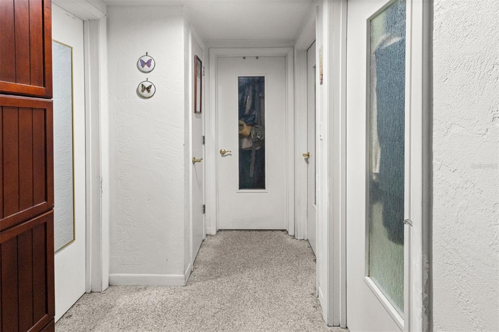 A carpeted hallway features white walls, multiple white doors, and two butterfly wall decorations — 1529 NW 143RD STREET, GAINESVILLE, FL