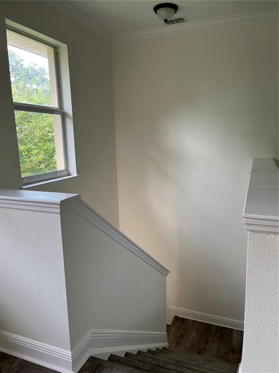 A staircase with white walls and trim leads down to a dark wood-look floor — 200 RIVERVIEW BEND UNIT 921, PALM COAST, FL