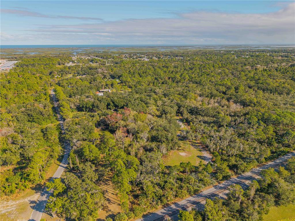 An aerial view shows a wooded lot bordered by a road and railroad tracks — 480 CLINTON CEMETERY ROAD, EDGEWATER, FL