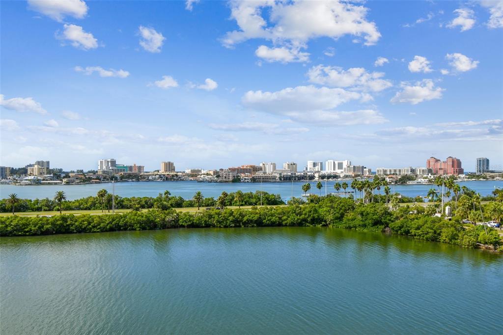 A wide view of a bay with mangroves in the foreground and a city skyline — 31 ISLAND WAY UNIT 609, CLEARWATER BEACH, FL