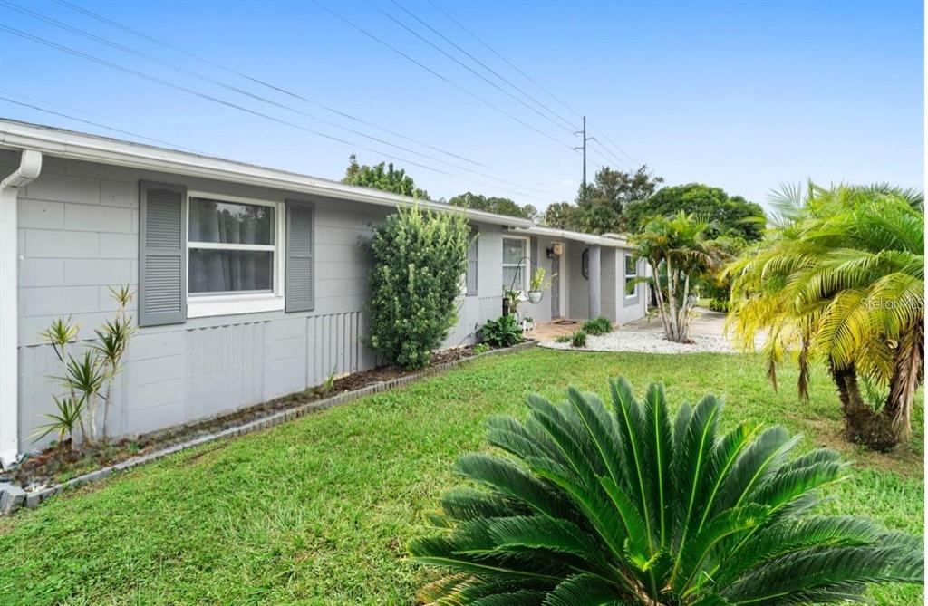 A gray, single-story house exterior features a lawn, palm trees, and a concrete block wall — 3906 DOANE STREET, ORLANDO, FL