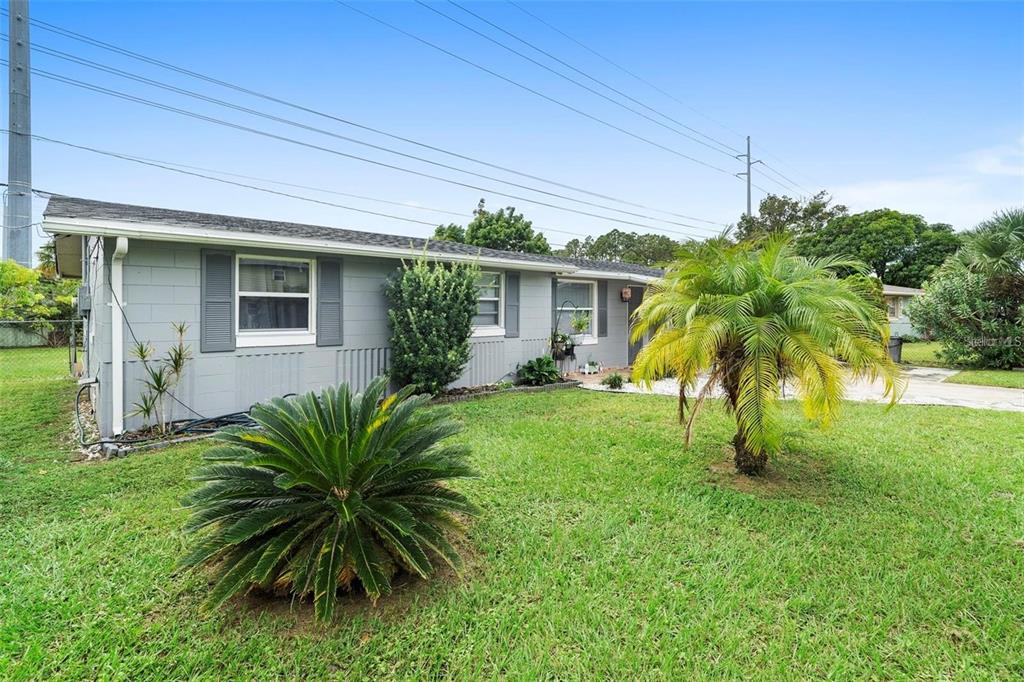 A gray, single-story house with a palm tree and a cycad in the front yard — 3906 DOANE STREET, ORLANDO, FL