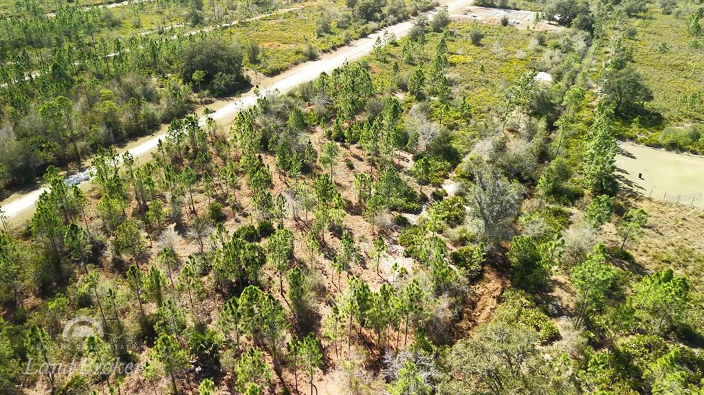 An aerial view shows a wooded lot with scattered pine trees and a dirt road — 1020 PORTULACA DRIVE, INDIAN LAKE ESTATES, FL