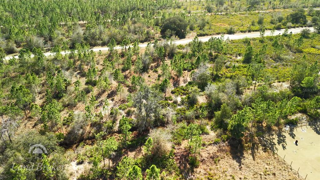 An aerial view shows a wooded lot with scattered pine trees and a paved road — 1020 PORTULACA DRIVE, INDIAN LAKE ESTATES, FL