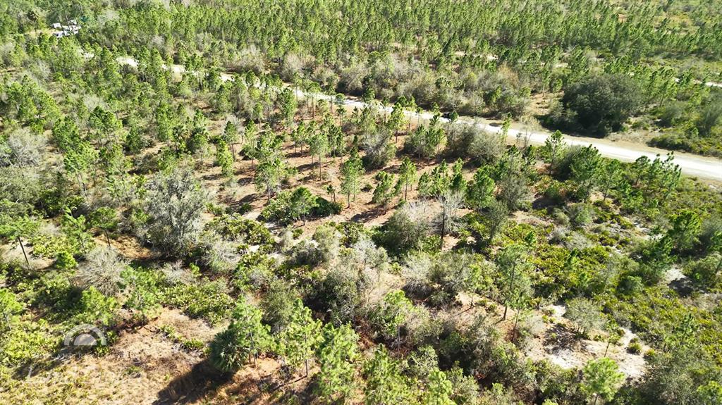 An aerial view shows a wooded lot with scattered pine trees and a dirt road — 1020 PORTULACA DRIVE, INDIAN LAKE ESTATES, FL