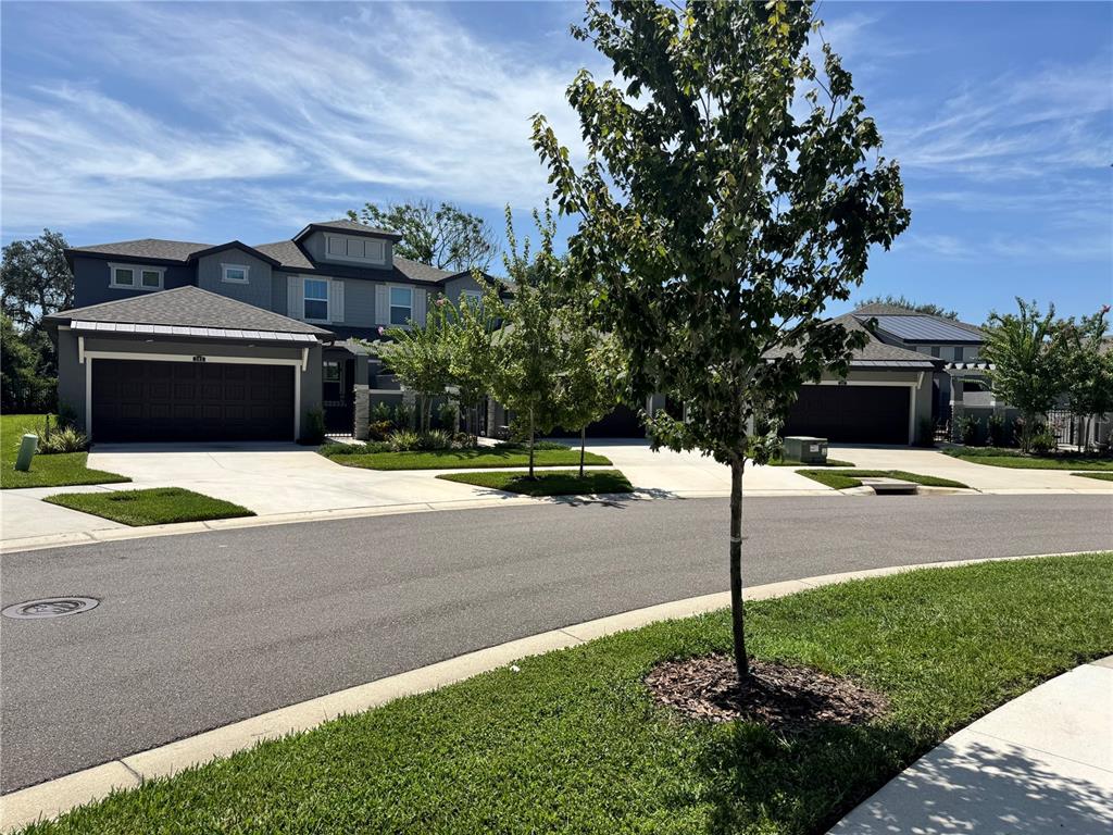A two-story house with two garages, a concrete driveway, and a landscaped front yard — 345 VILLA CORTE DRIVE, LUTZ, FL