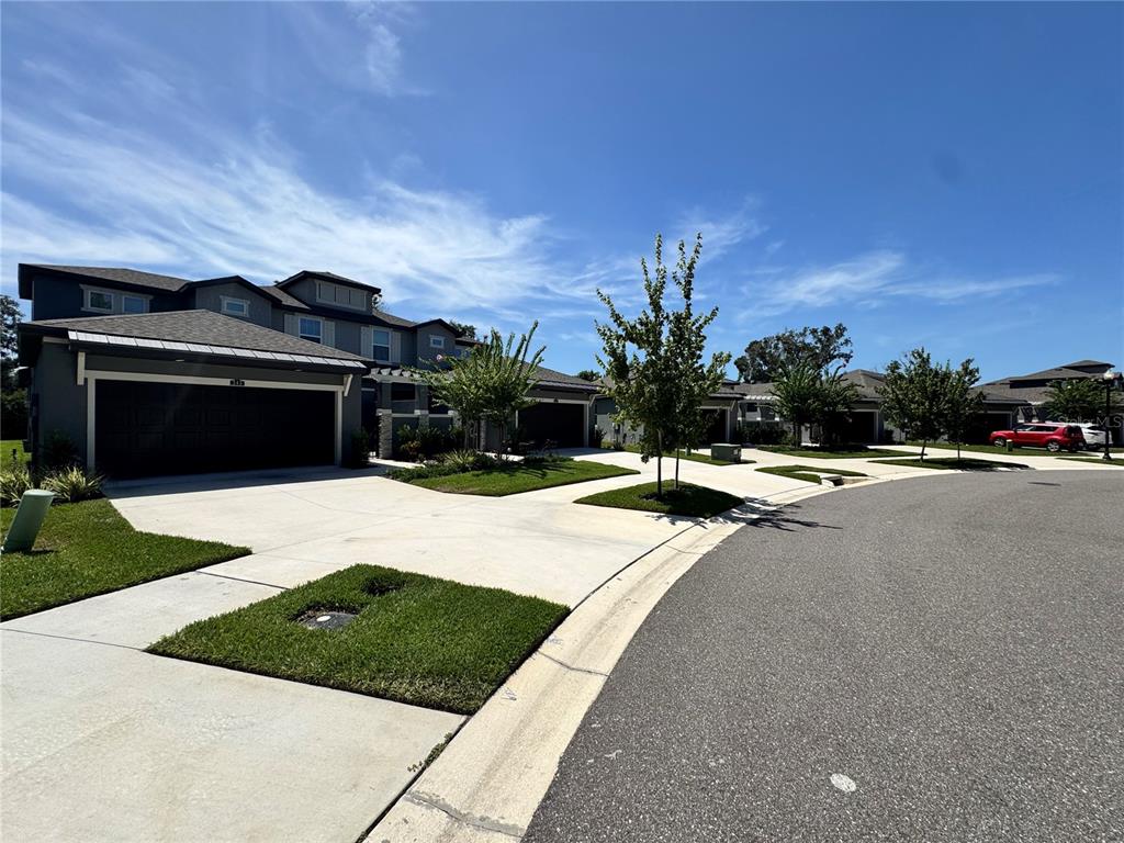 A two-story house with a dark garage and a paved driveway under a blue sky — 345 VILLA CORTE DRIVE, LUTZ, FL