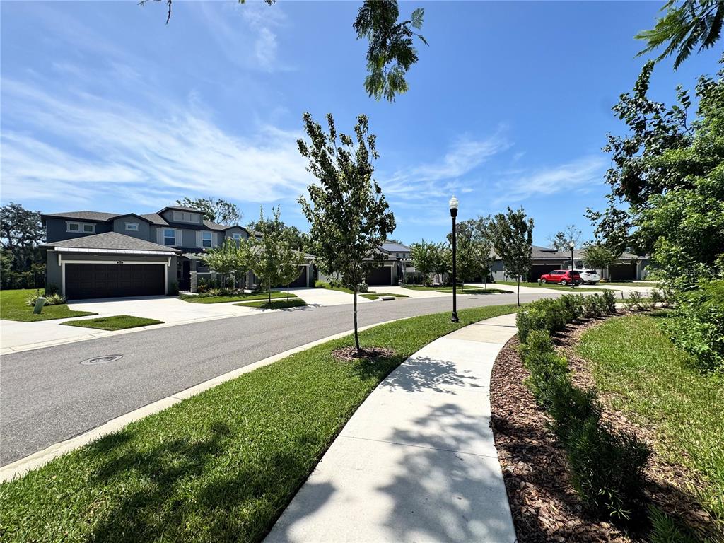 A street view of suburban houses with attached garages and driveways under a blue sky — 345 VILLA CORTE DRIVE, LUTZ, FL
