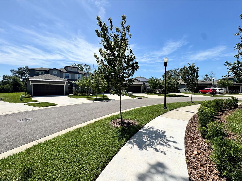 A suburban street scene features houses with driveways, a sidewalk, and a street lamp — 345 VILLA CORTE DRIVE, LUTZ, FL