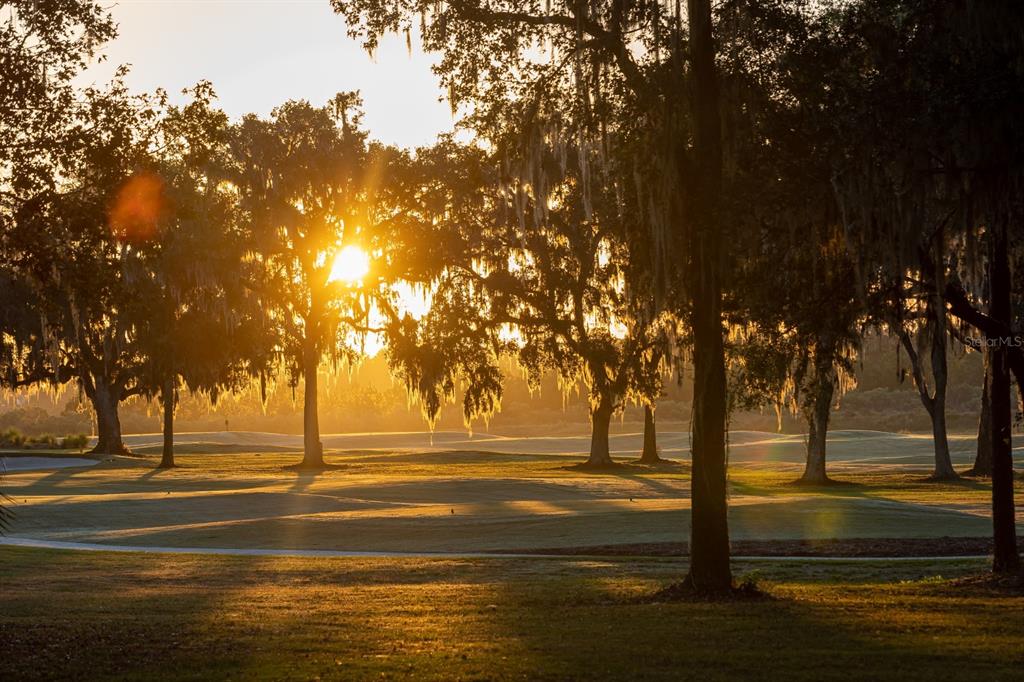 NW 31ST LANE ROAD, OCALA, FL — photo 2 of 3