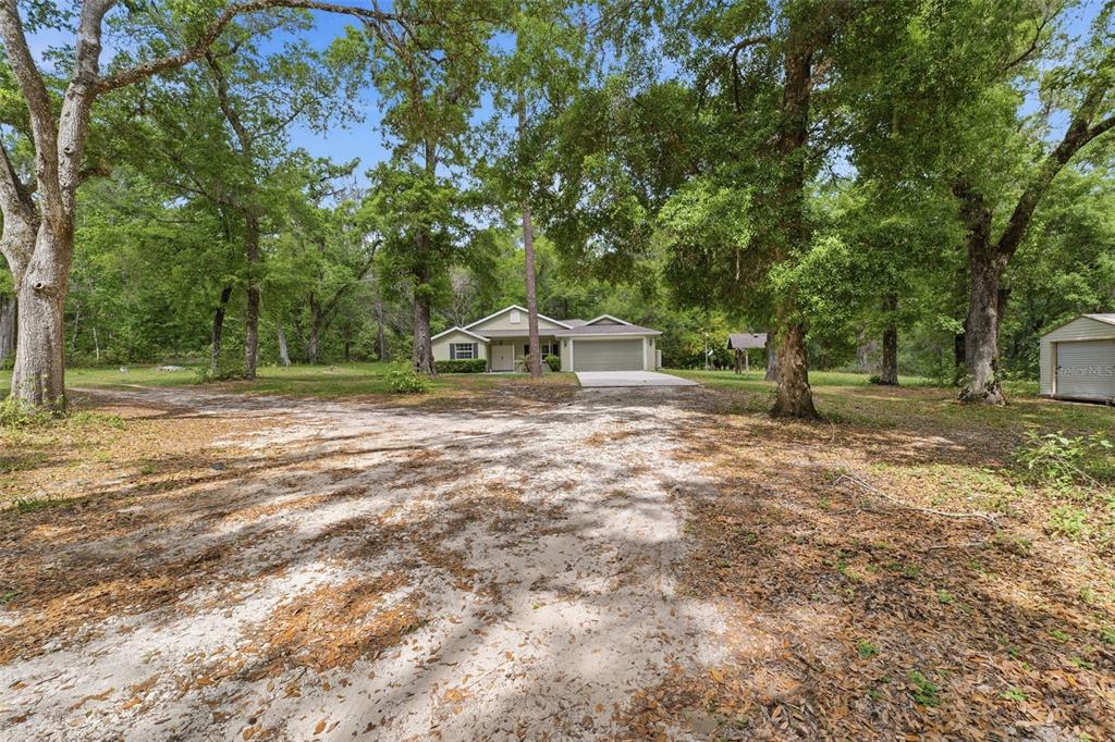 A single-story house with a garage sits on a large, wooded lot with a driveway — 11459 TRAIL RIDGE RUN, BROOKSVILLE, FL