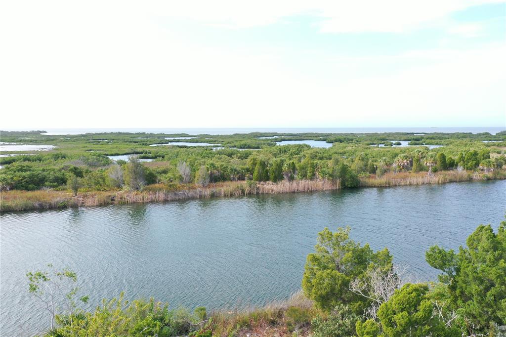 LUGUSTRUM DRIVE, HERNANDO BEACH, FL — photo 4 of 8