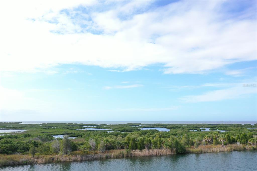LUGUSTRUM DRIVE, HERNANDO BEACH, FL — photo 5 of 8
