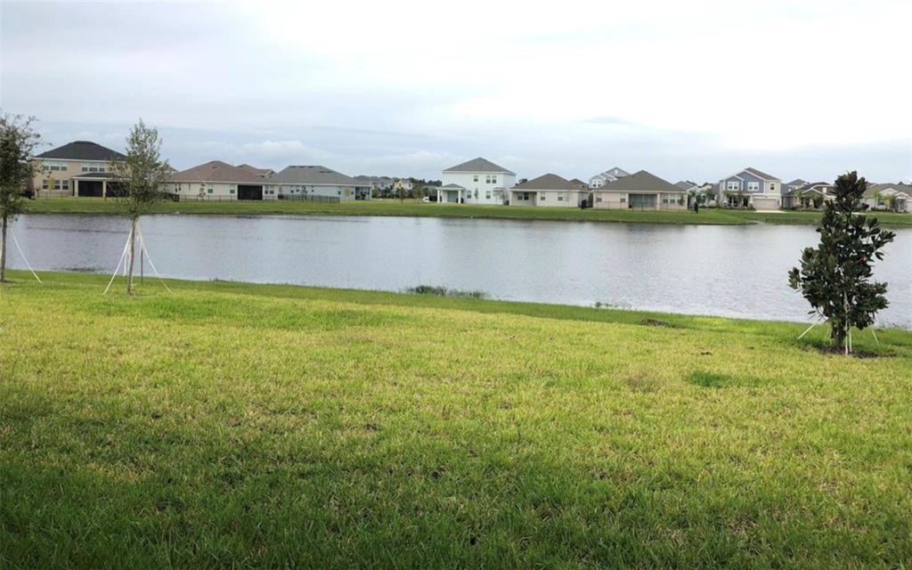 A grassy lawn overlooks a pond with several suburban houses in the background — 10229 LOVEGRASS LANE, ORLANDO, FL