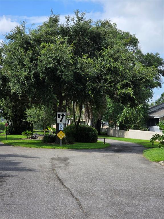 A paved road leads toward a large tree with traffic signs in a residential neighborhood — 266 ORIENTA POINT STREET, ALTAMONTE SPRINGS, FL