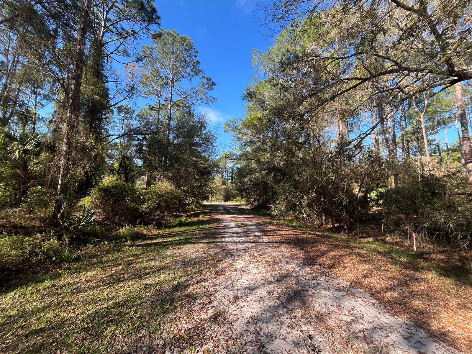 A dirt path winds through a wooded area under a clear blue sky — 104 SE 5th Street, FL 32139, FL