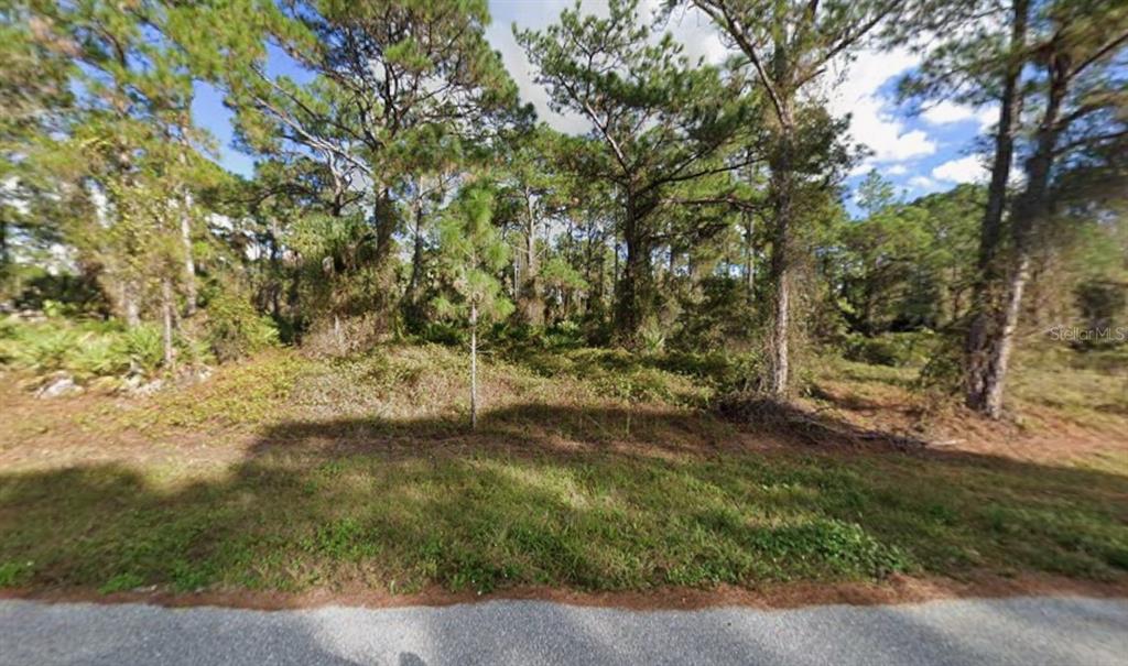 A wooded, undeveloped residential lot with pine trees and low-lying vegetation along a paved road — GANTRY ROAD, NORTH PORT, FL