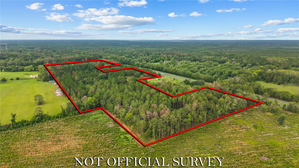 An aerial view shows a wooded plot of land outlined in red against a rural landscape — NE US HIGHWAY 301, HAWTHORNE, FL