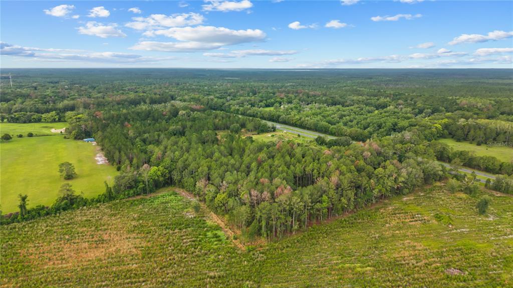 An aerial view shows a wooded lot bordered by open fields and a nearby road — NE US HIGHWAY 301, HAWTHORNE, FL