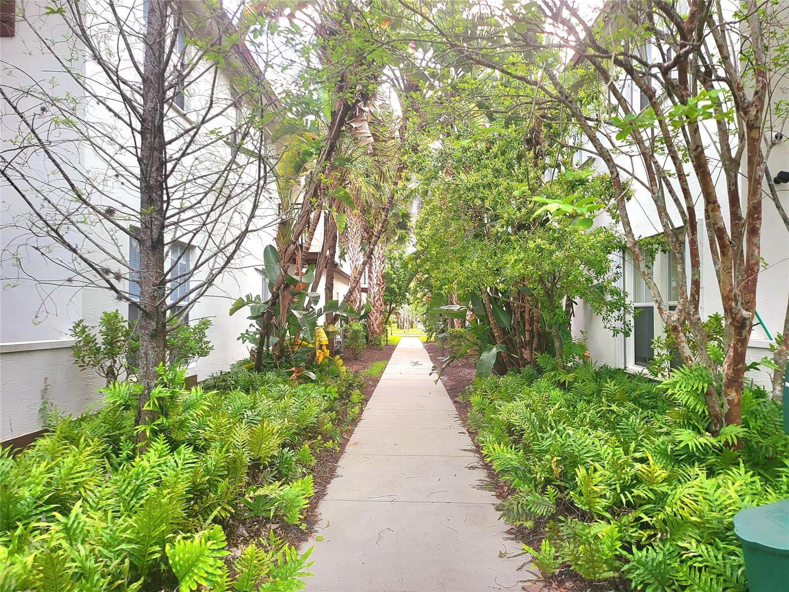 A concrete walkway leads between two white apartment buildings surrounded by lush green landscaping — 4658 Monarch Way, Coconut Creek FL 33073, COCONUT CREEK, FL